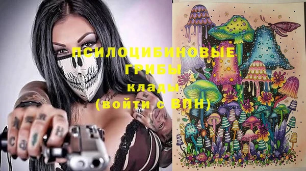 МДПВ Коряжма