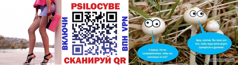 Галлюциногенные грибы GOLDEN TEACHER  Купить закладки  Котельники 